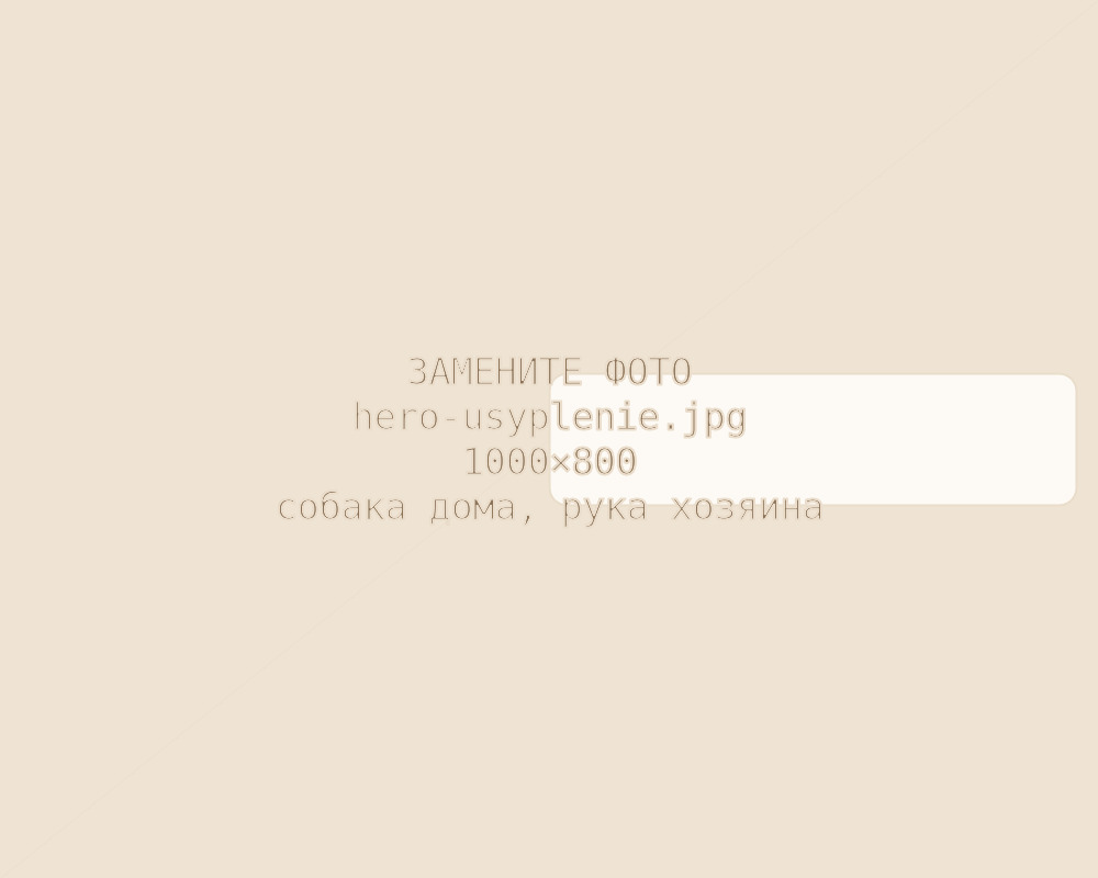 Ритуальные услуги для животных — Тёплый след